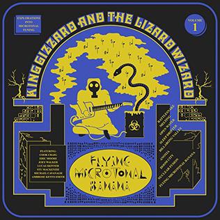 album cover of Flying Microtonal Banana